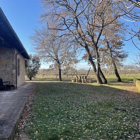 Agriturismo Eco-Bio Villa Vacasio Pitigliano Dış mekan fotoğraf