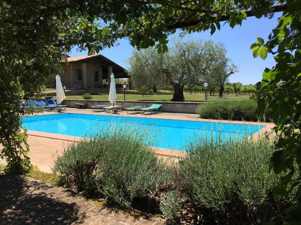 Agriturismo Eco-Bio Villa Vacasio Pitigliano Dış mekan fotoğraf
