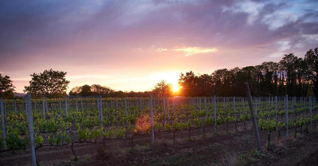 Agriturismo Eco-Bio Villa Vacasio Pitigliano Dış mekan fotoğraf