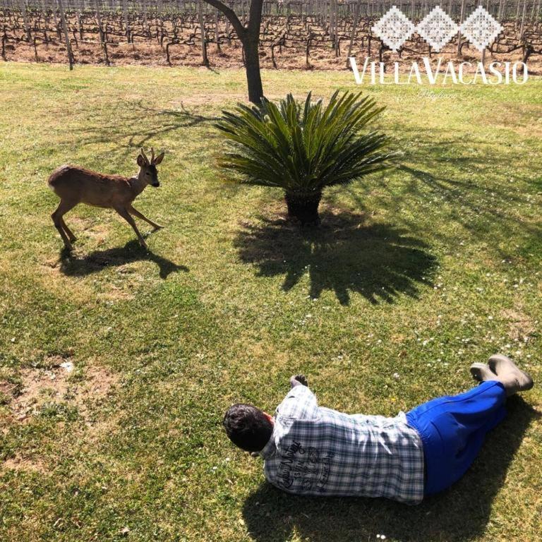 Agriturismo Eco-Bio Villa Vacasio Pitigliano Dış mekan fotoğraf