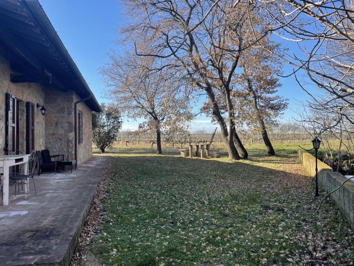 Agriturismo Eco-Bio Villa Vacasio Pitigliano Dış mekan fotoğraf